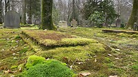 begroeid graf (Oorlogsgraven van het Gemenebest)