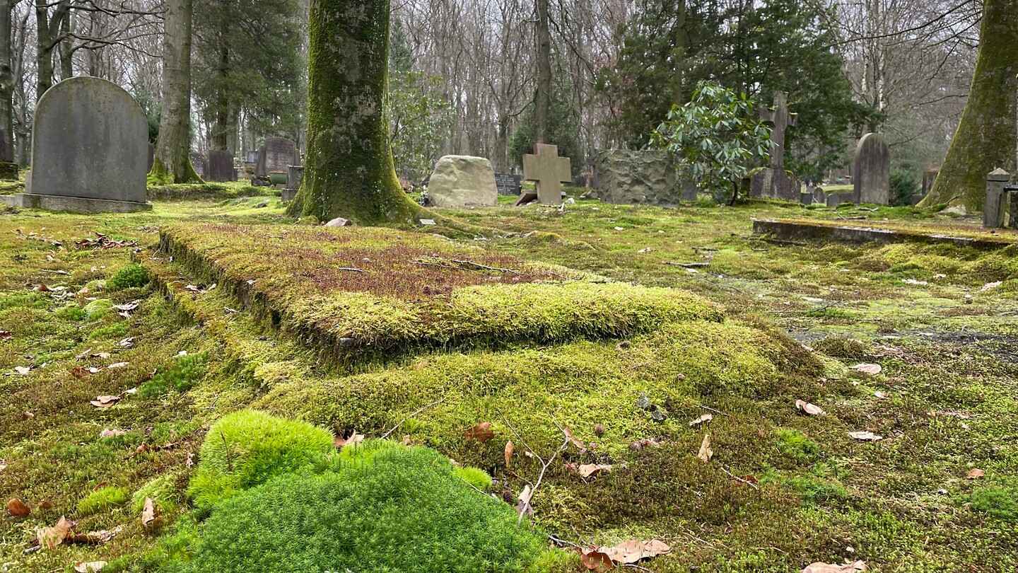 begroeid graf (Oorlogsgraven van het Gemenebest)