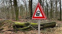 pas op voor adders