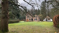 Mooi plekkie in het bos