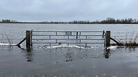 Hek in het water