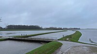 Uitzicht Hoenwaard