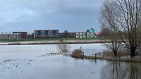 zoek de IJsvogel