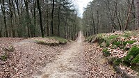 Uitzicht vanaf Keienberg Veluwezoom