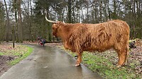 Iemand is toch langs mij gekomen. Alleen zijn fiets is teruggevonden