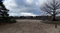 Zand en heide