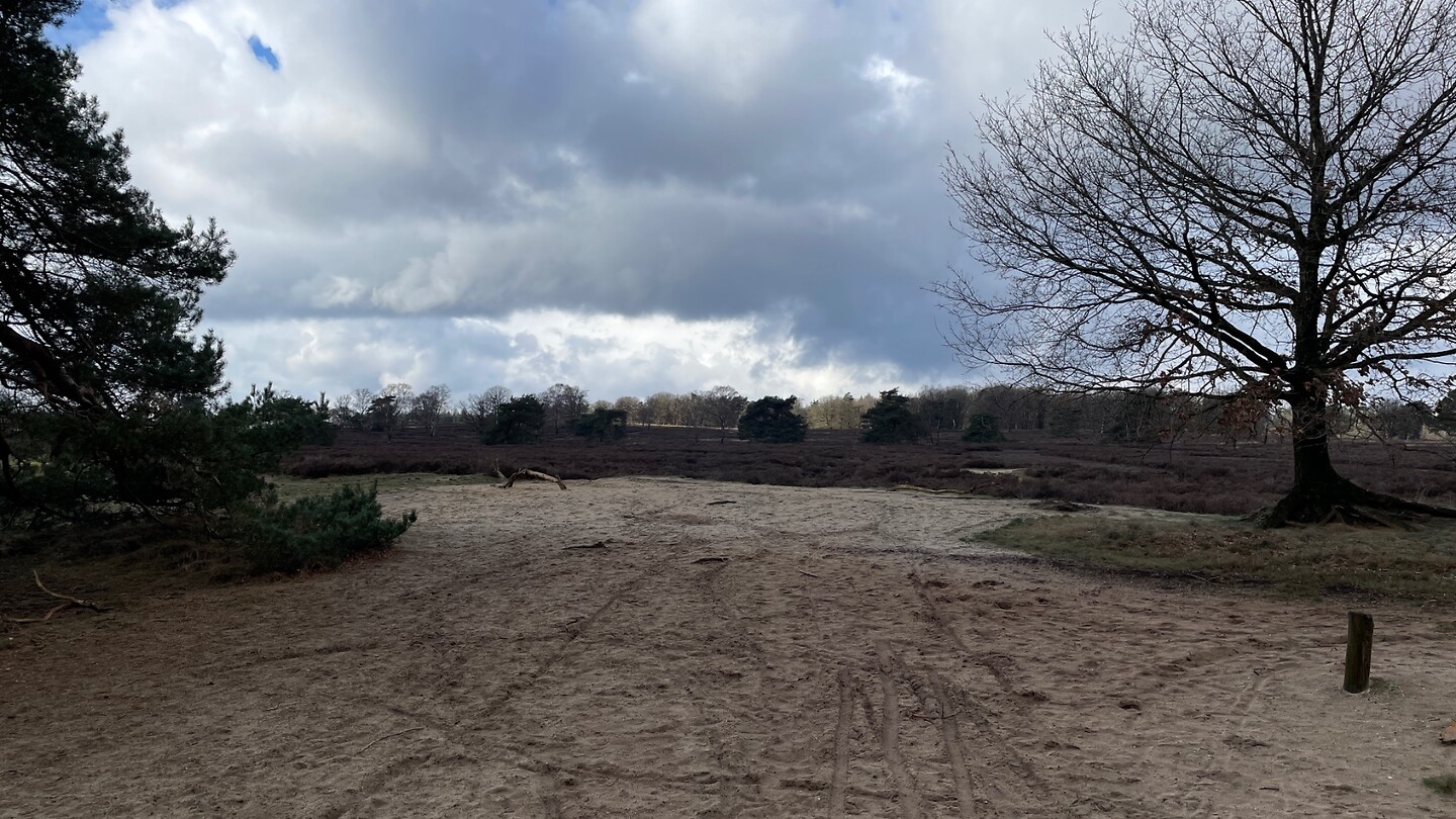 Zand en heide
