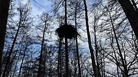 Kan iemand mij vertellen of dit een groot nest is (geweest)?