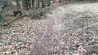 Bijna op m’n bek op deze singletrack