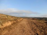 Viphya Forest Reserve - 2