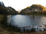Viphya Forest Reserve - 3