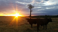 20160417_173753
