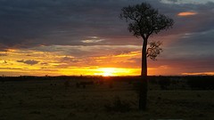 20160417_174233