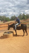 IMG-20160422-WA0022