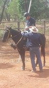 IMG-20160422-WA0020