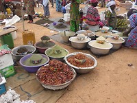 IMG_1826