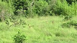 MVI_2358
