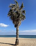 3059E06B-E125-414E-8B17-597CFCA8B712