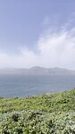 IMG_5651