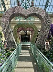 IMG_6329