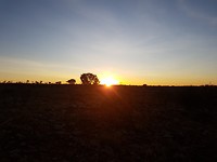 20180704_180416