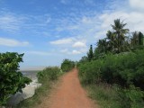 IMG_1982