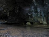 IMG_2397