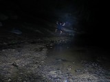 IMG_2405