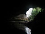 IMG_2441