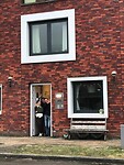 Afscheid nemen van mijn huisgenootjes