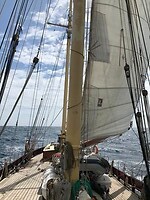 Maybe zeilt fantastisch voor de Spaanse kust
