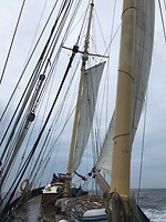 Soms was de roerganger in de lucht, soms onder de horizon