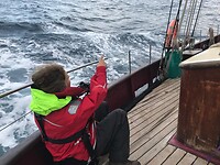 Vogels aanwijzen op zee