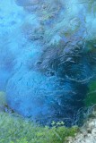 Blue Eye Spring