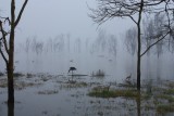 Nakuru NP