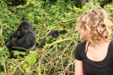 Mountain Gorilla's