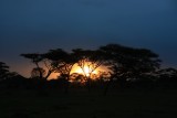 Serengeti NP Sunset