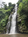 IMG_1008