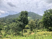 IMG_1283
