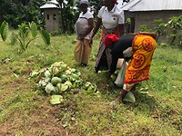 IMG_1280