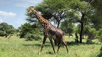 IMG_1488