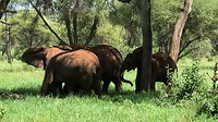 IMG_1523