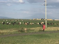 IMG_1727