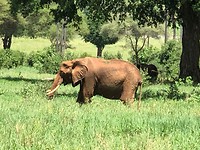 IMG_1530
