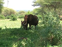 IMG_1519