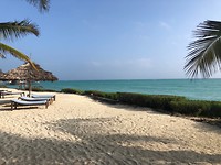 IMG_1792