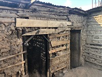 IMG_1786