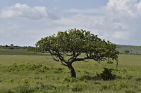 ABBFE5DA-3843-4A8F-B33B-65C0B15ED493