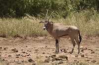 E637D22B-E878-4433-B0D5-9497873159B6