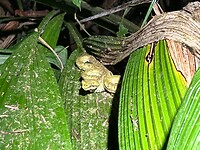 IMG_2872